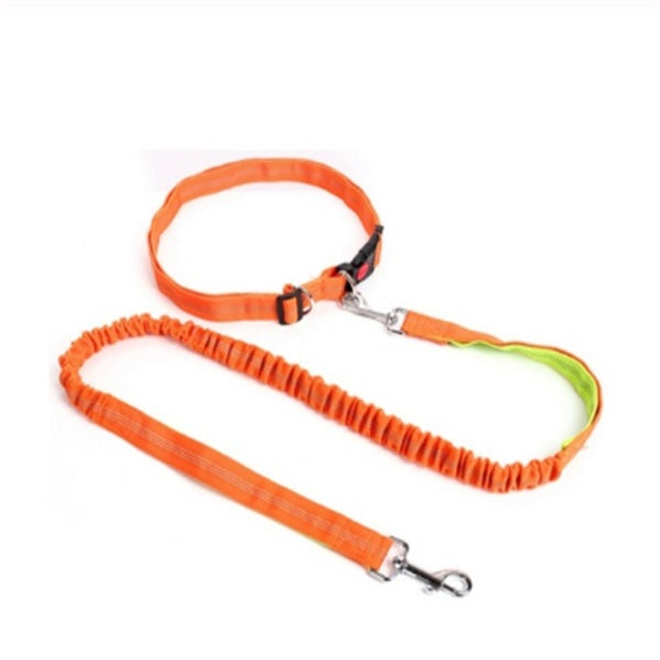 The Ultimate Traction Rope Dog Leash for Active Pet Owners